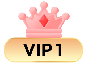 VIP 1