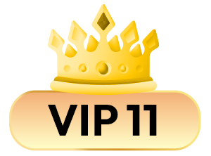 VIP 11